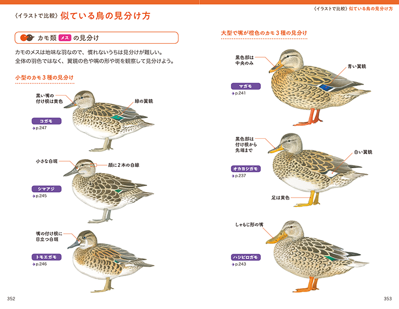 街 野山 水辺で見かける野鳥図鑑 つくりら 美しい手工芸と暮らし