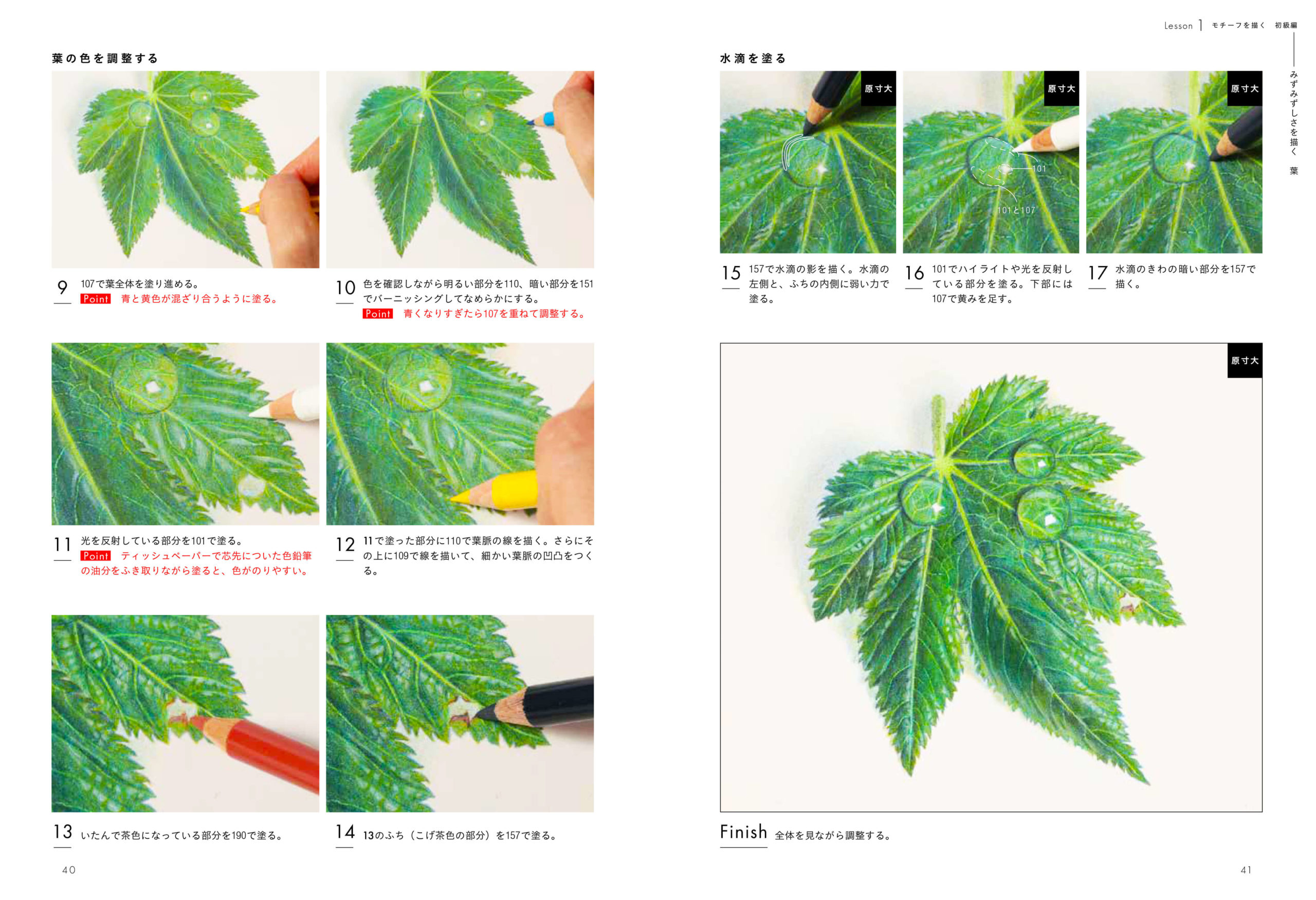 あなたにも描ける 本物のように美しい色鉛筆画 つくりら 美しい手工芸と暮らし